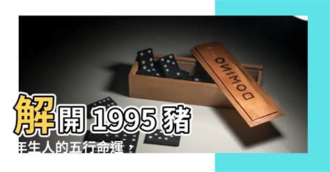 1995 豬